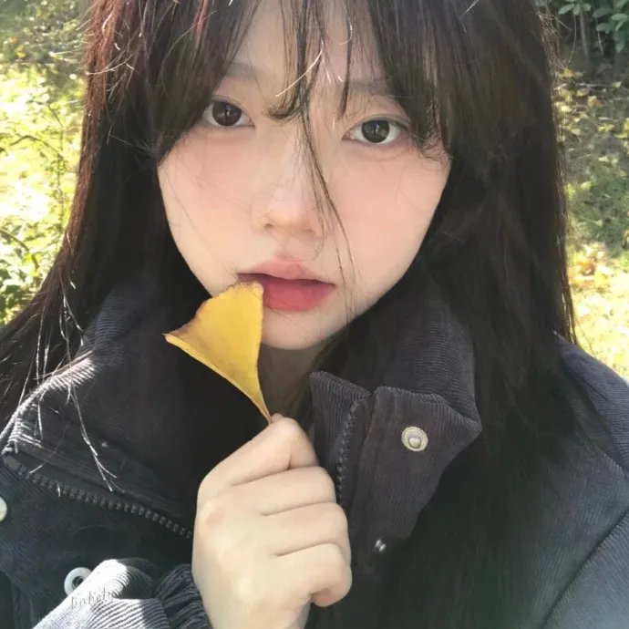卸岭秘录